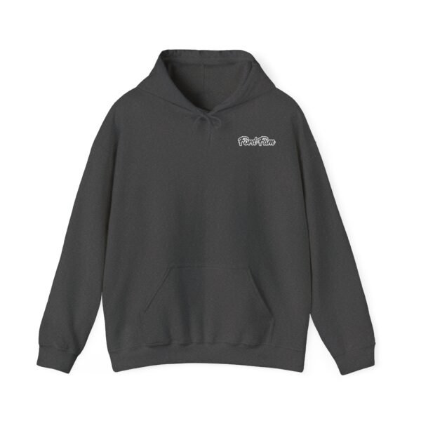 Custom Ford Fam Personalised Hoodie - Image 21